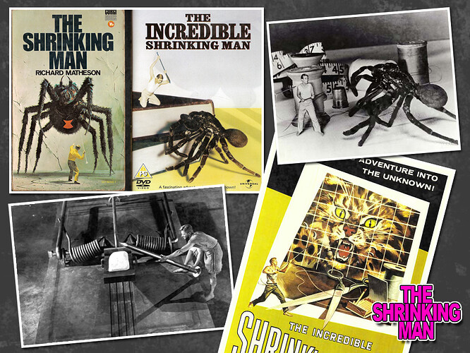 The_Shrinking_Man_01.jpg