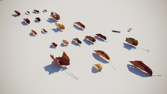 leaf_01.jpg