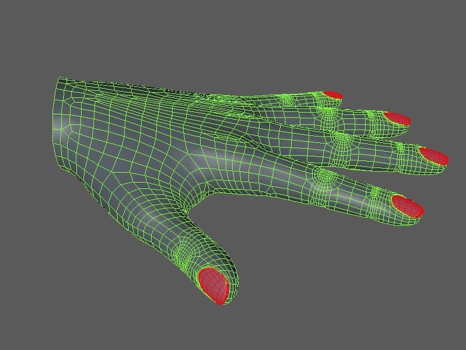 P_Hand2.jpg