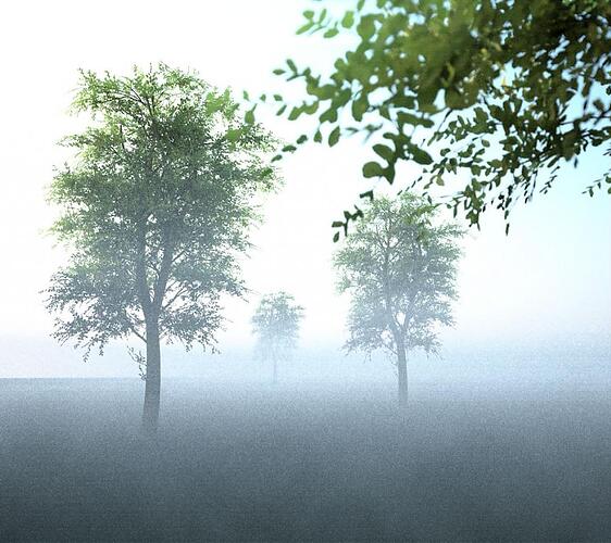 im-nebel.jpg