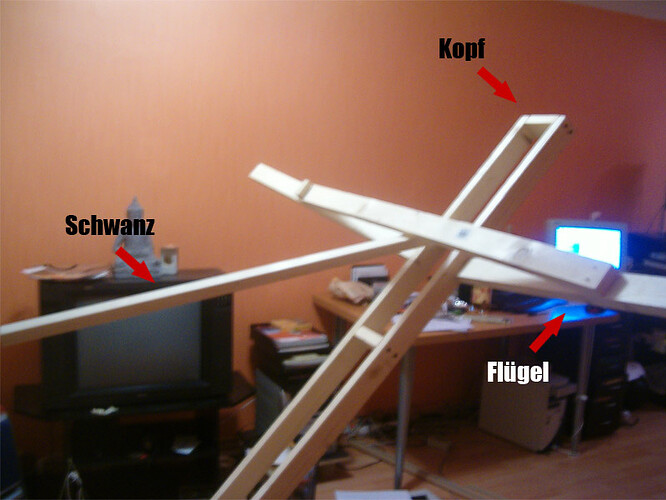 schneeeule_wip02.jpg