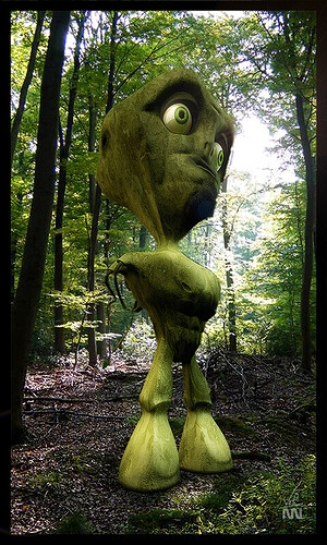 laum_imwald2.jpg