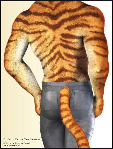 Tiger07_FIN_web_s.jpg