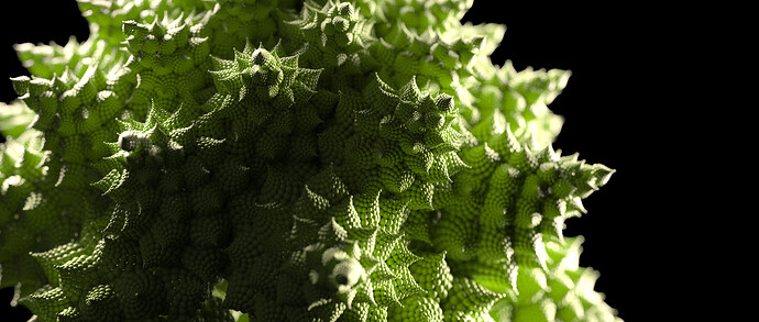 romanesco_12h25min.png