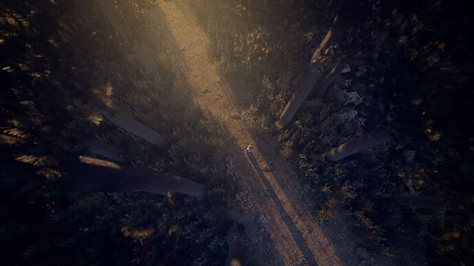 CR-Enter-the-forest-01-Preview_00000.jpg