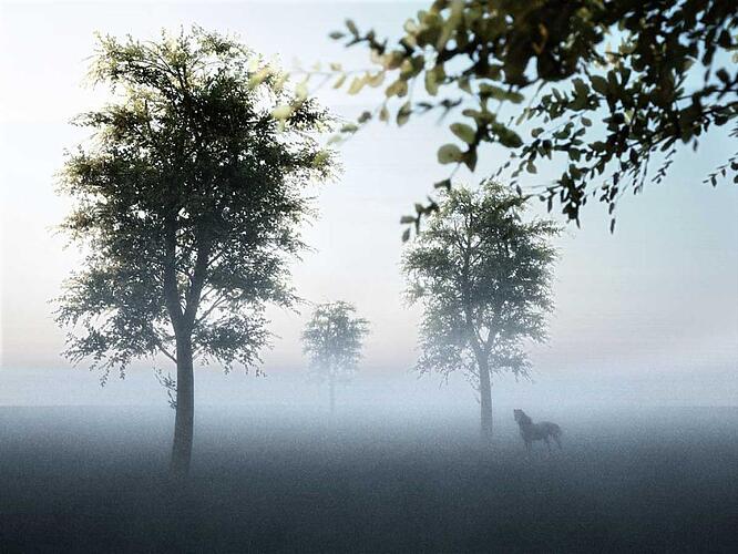 imnebel_updated.jpg