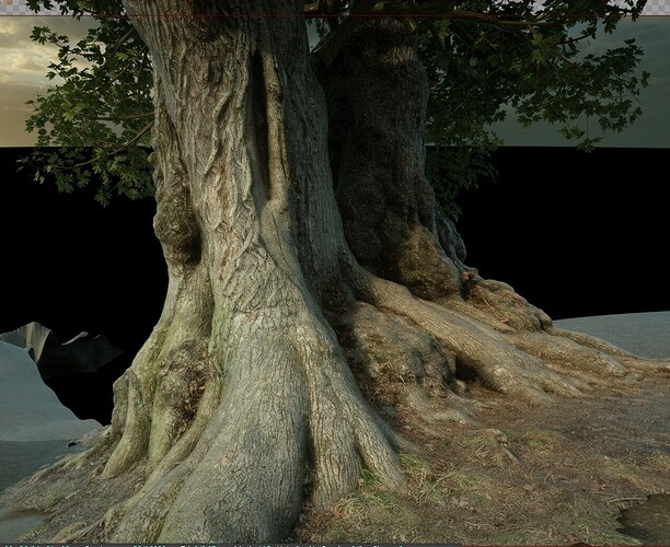 Baum_Neu.jpg