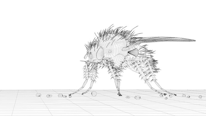 wire2.jpg