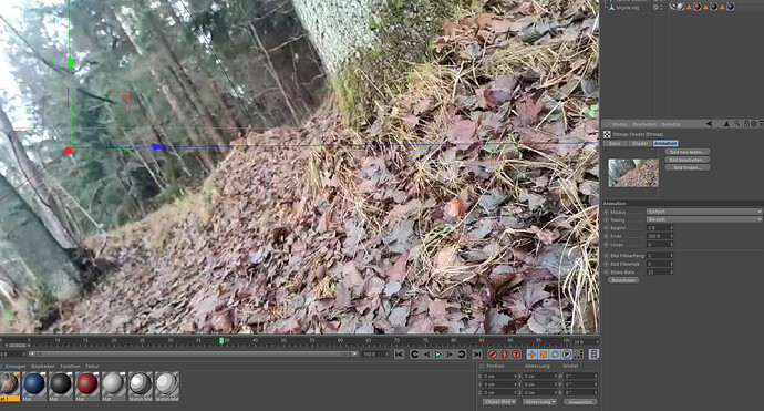 Ani Wald.png