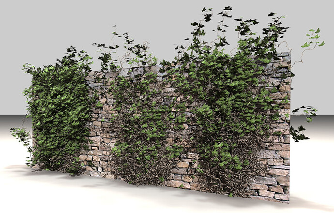ivy02.jpg