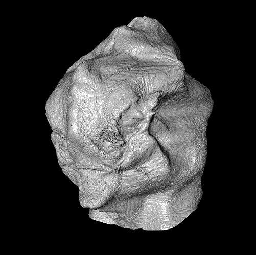 MESH_1.jpg