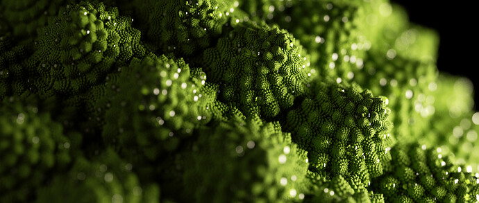 romanesco_47h_8360spp.png