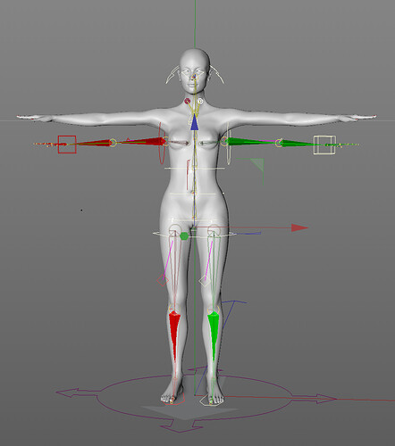 Rig.jpg