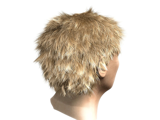 hair1.jpg