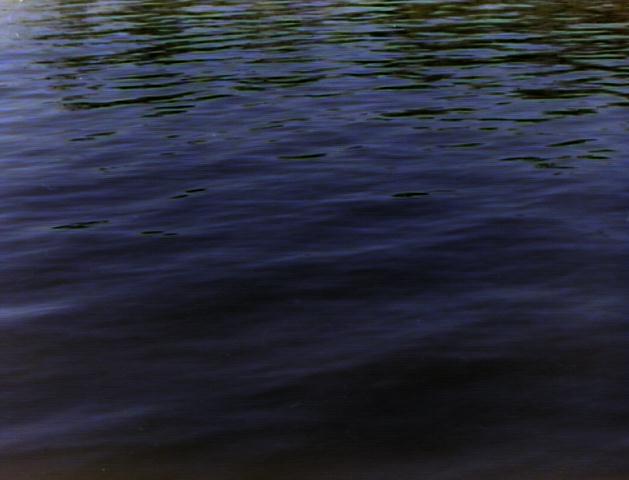 water121nt.jpg