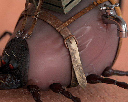 Zecke_skin02.jpg