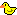 :borladuck:
